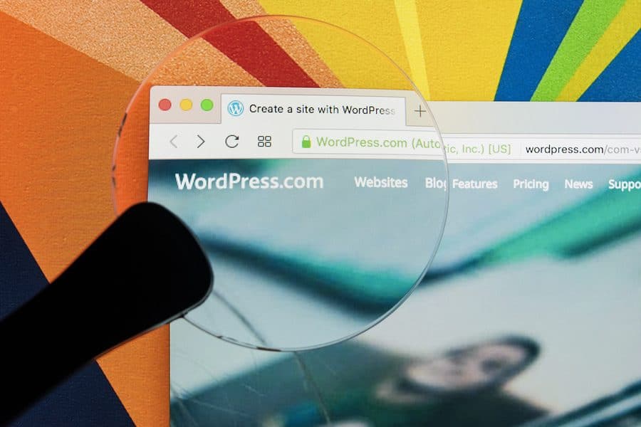WordPress Theme Website vs. Custom-Coded Website- How to Choose the Right One